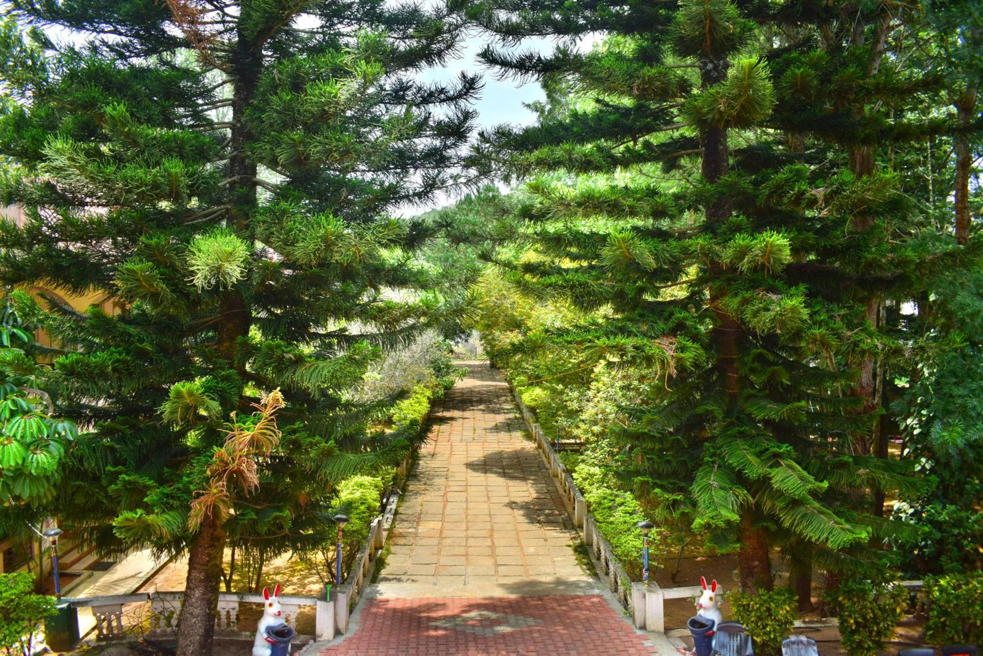 Jains Royal Palace Resorts Yelagiri Buitenkant foto